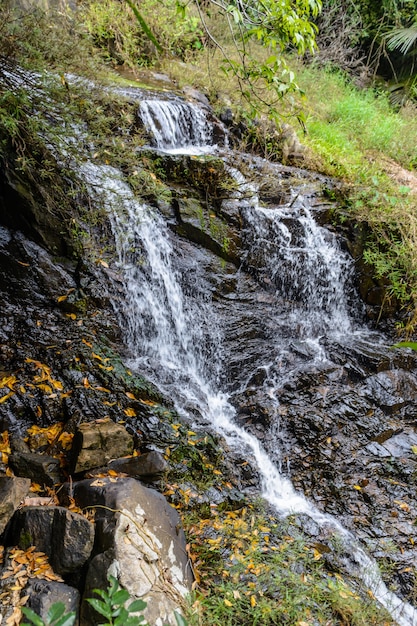 Les belles cascades, rapides et ruisseaux de montagne dans la forêt tropicale du parc Yanoda, ville de Sanya. Île de Hainan, Chine.