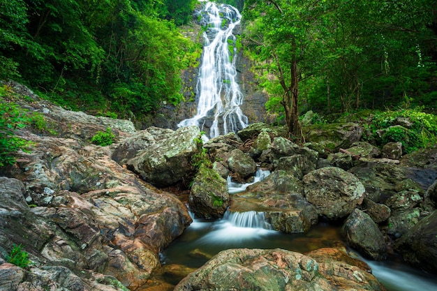 Belles cascades en thaïlandeBelle cascade dans une forêt verte dans la jungle