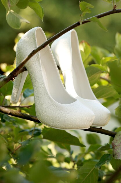 Belles chaussures de mariage sur l'arbre