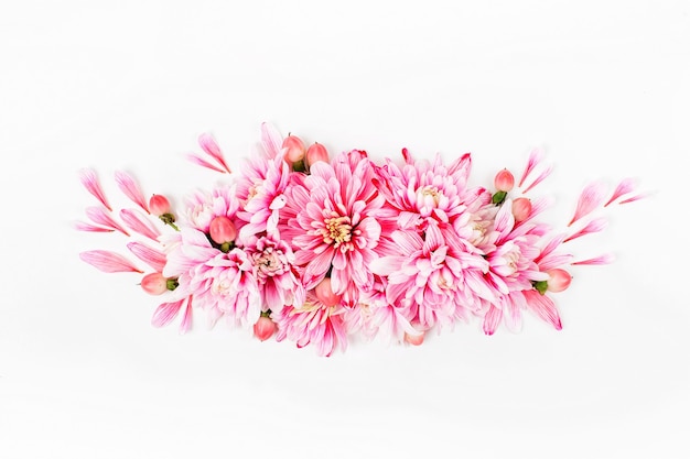 Belles compositions florales. Chrysanthèmes roses sur fond blanc. Mise à plat, vue de dessus.