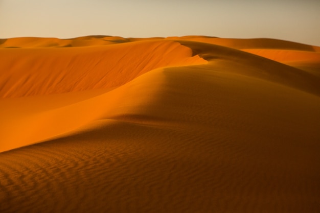 Belles dunes de sable dans le désert du Sahara au Maroc