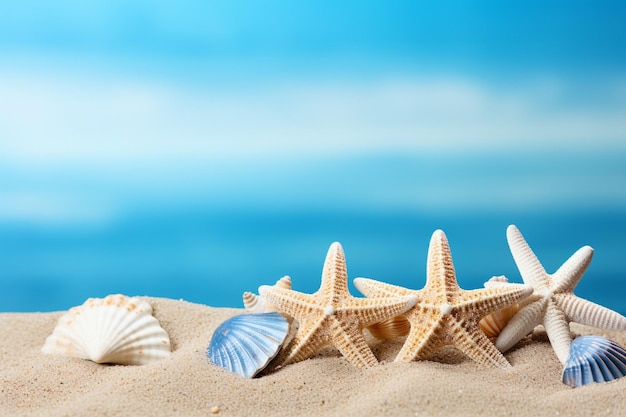 De belles étoiles de mer avec du sable sur un fond bleu en bois