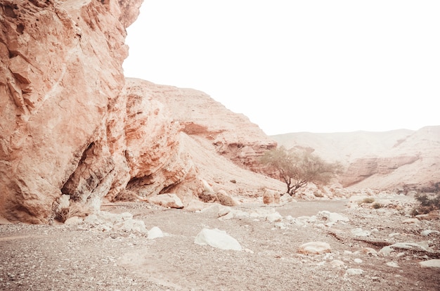 Belles Falaises De Grès Du Red Canyon Dans Les Montagnes Du Sud D'eilat, Israël.