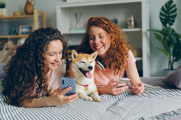 Belles femmes utilisant des smartphones et caressant un chien allongé sur le lit