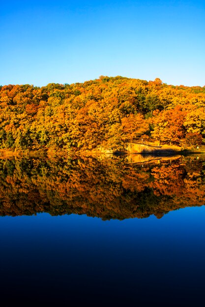 Belles feuilles d'automne colorées reflétées dans l'eau