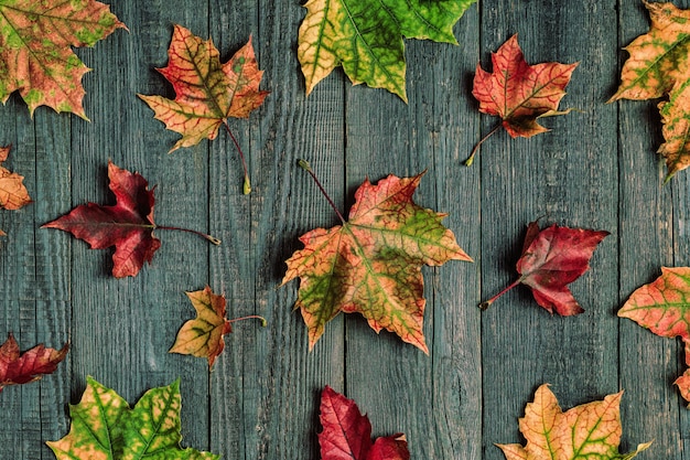 Belles feuilles d'automne sur une table en bois