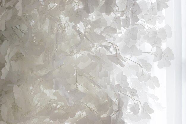 De belles feuilles blanches contre les rideaux de tulle. Contexte.