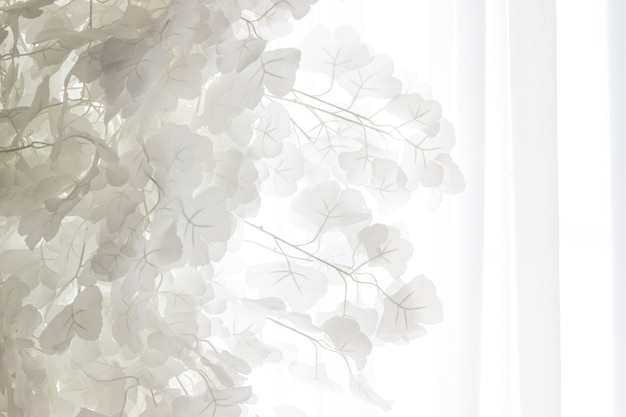 Photo de belles feuilles blanches contre les rideaux de tulle. contexte.