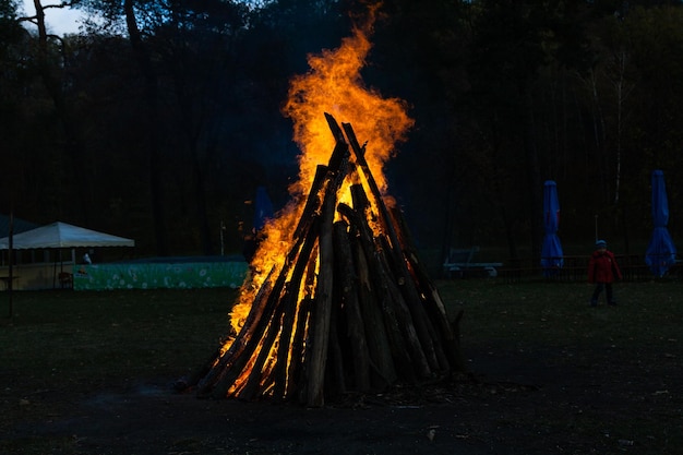 De belles flammes sur un feu de camp