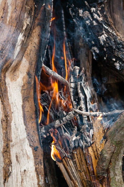 Belles flammes de feu sur un feu de camp