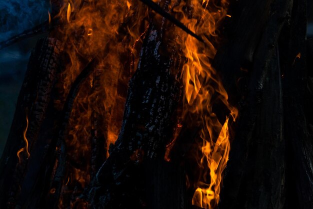 Belles flammes de feu sur un feu de camp