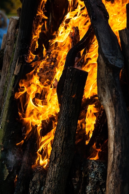 Belles flammes de feu sur un feu de camp