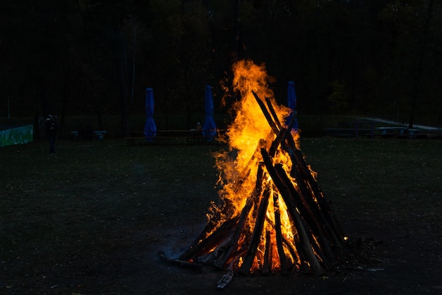 Belles flammes de feu sur un feu de camp