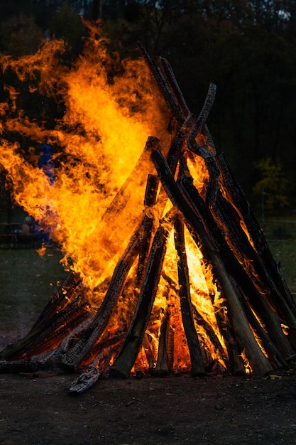 Belles flammes de feu sur un feu de camp