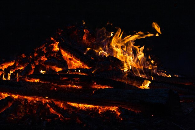 Belles flammes de feu sur un feu de camp