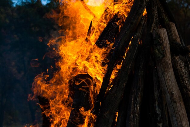 Belles flammes de feu sur un gros plan de feu de camp