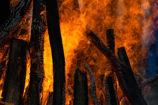 Belles flammes de feu sur un gros plan de feu de camp