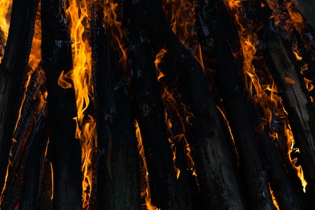 Belles flammes de feu sur un gros plan de feu de camp