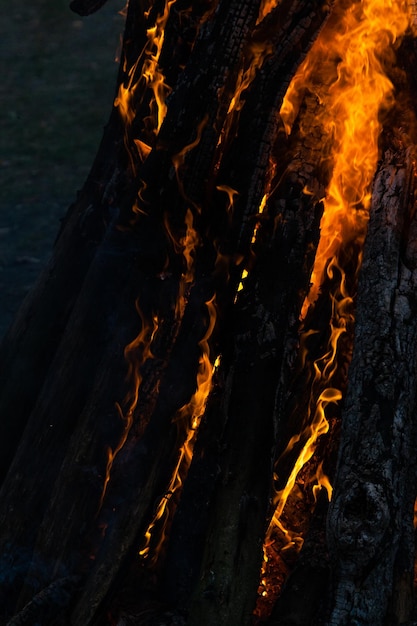 Belles flammes de feu sur un gros plan de feu de camp