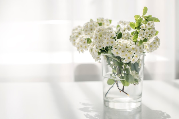 Belles fleurs blanches sur la table près de la fenêtre.