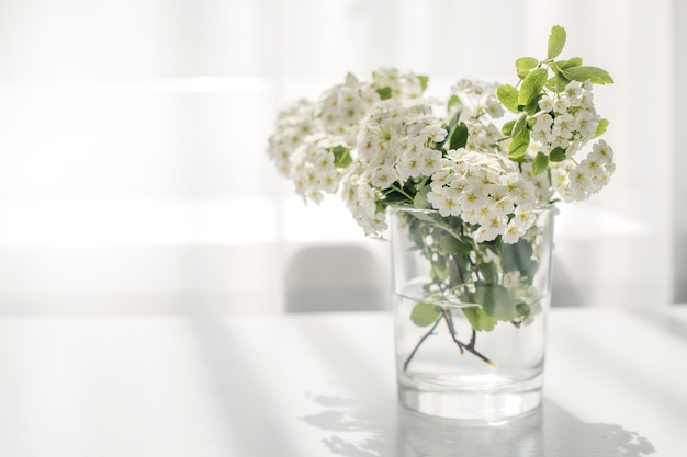 Belles Fleurs Blanches Sur La Table Près De La Fenêtre.