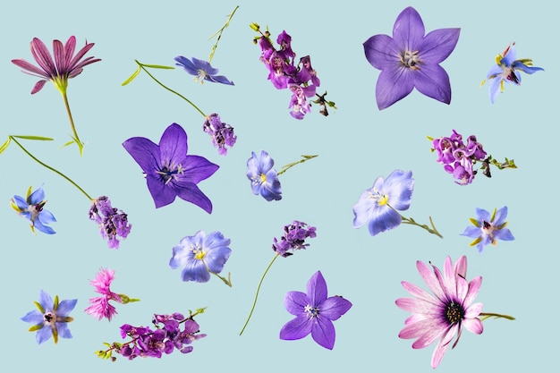 Belles fleurs bleues et violettes volant dans les airs sur fond bleu