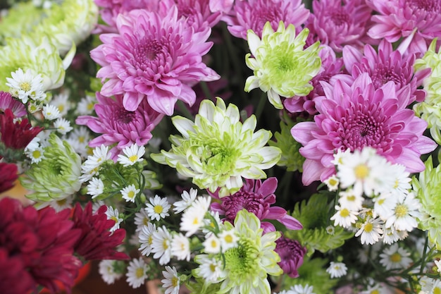 Belles fleurs colorées comme toile de fond