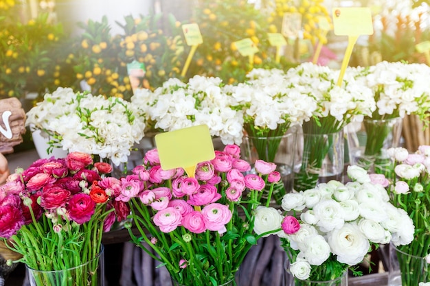 Photo belles fleurs colorées dans un magasin de fleurs