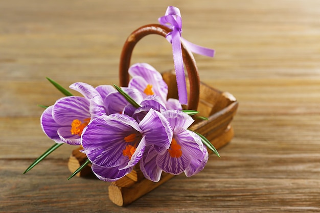 Belles fleurs de crocus sur fond de bois