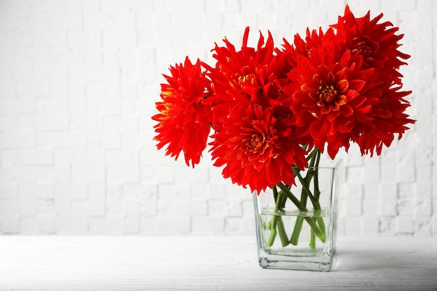 Belles fleurs de dahlia rouge dans un vase sur fond clair