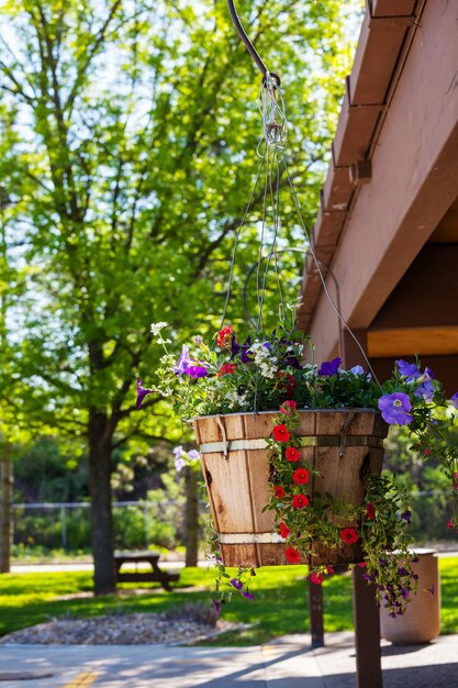 De belles fleurs dans le jardin