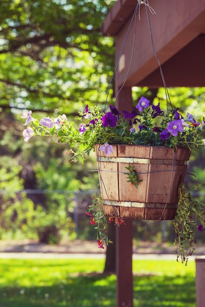 De belles fleurs dans le jardin