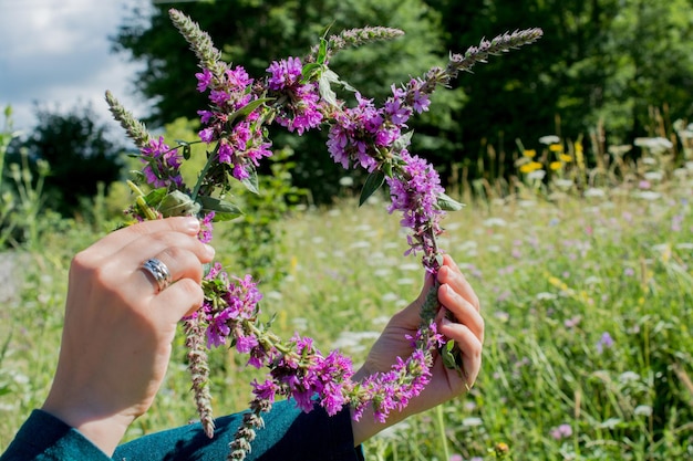 Belles fleurs dans la nature