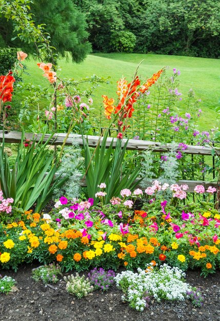 Photo belles fleurs décoratives s'épanouissant devant la pelouse verte
