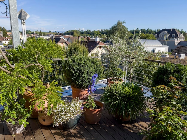 Les belles fleurs du balcon