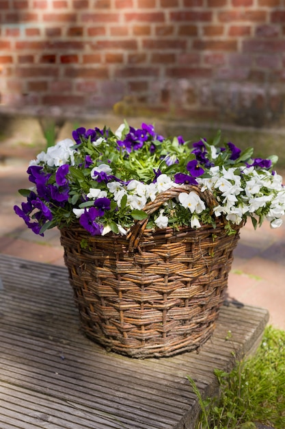 Belles fleurs d'été dans un panier rond à l'extérieur sur un fond de mur de briques