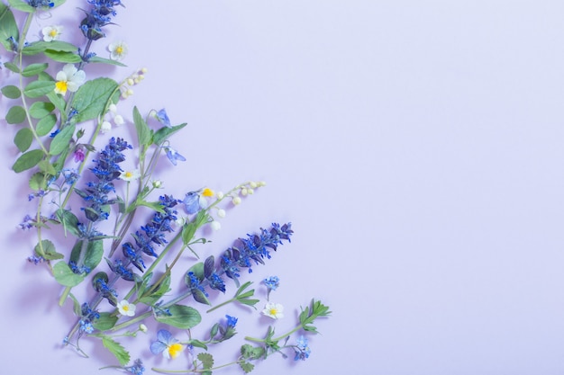 Belles fleurs d'été sur une surface bleue