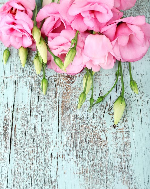 Belles fleurs d'eustoma sur fond de bois