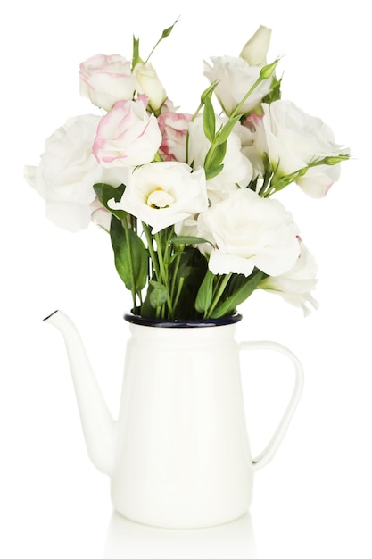 Belles fleurs d'eustoma en théière, isolées sur blanc