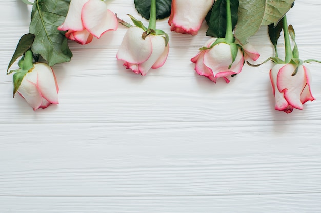 Belles fleurs sur fond blanc en bois