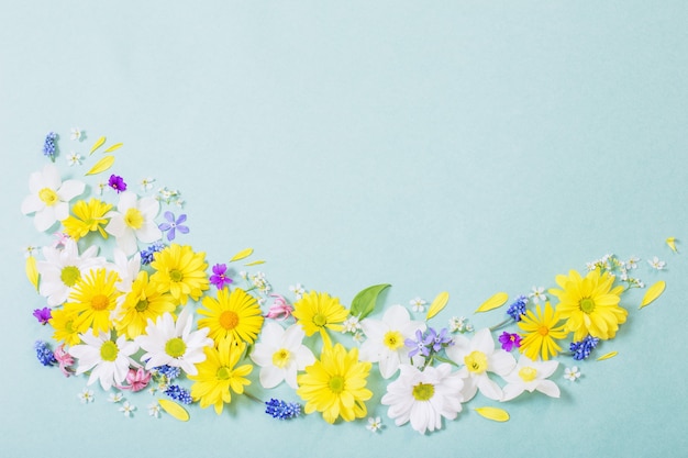 Belles fleurs sur fond de papier bleu