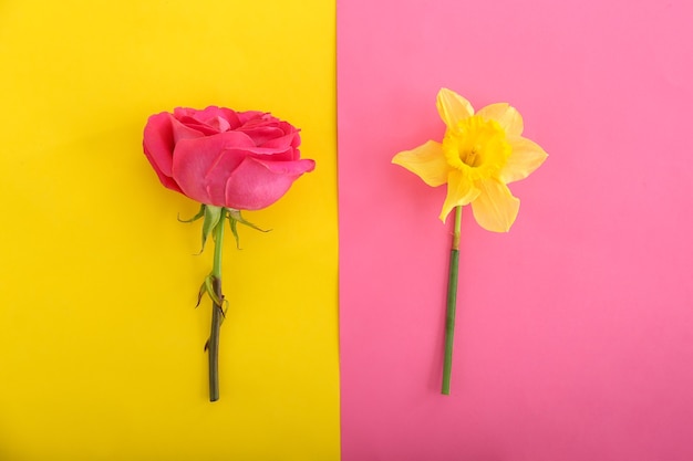 Belles fleurs fraîches sur la couleur