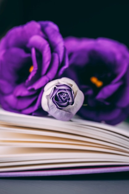 Belles fleurs de gentiane des prairies violettes eustoma et livre