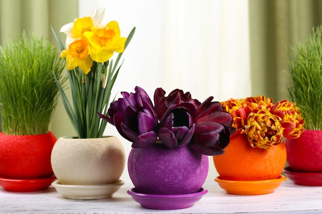 Belles fleurs avec de l'herbe verte dans des pots sur fond de tissu