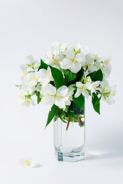 Belles fleurs de jasmin dans un vase sur la table