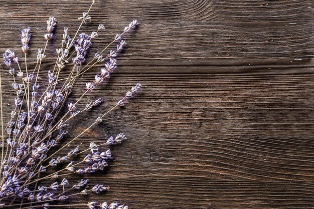 Belles fleurs de lavande en fleurs sur bois