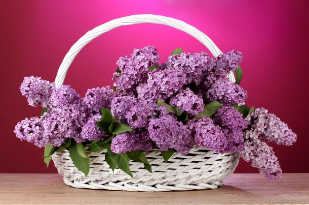 Belles fleurs lilas dans le panier sur fond rouge