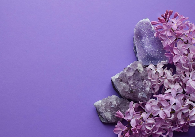 De belles fleurs lilas et des druzes d'améthyste semi-précieuses se trouvent sur un fond violet Copiez l'espace