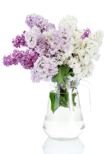 Belles fleurs lilas en pot de verre isolé sur blanc