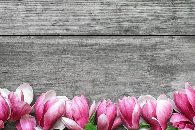 Belles fleurs de magnolia rose sur fond de table en bois rustique. vue de dessus. mise à plat. concept de printemps